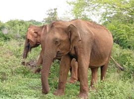 A tropical delight!, vila v Udawalawe