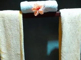 Serenity stay Kizimkazi