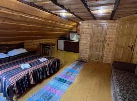 Лісова тиша номер - 1