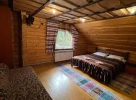 Лісова тиша номер - 1