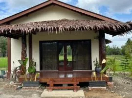 Shazzam place tour and jungle trekking