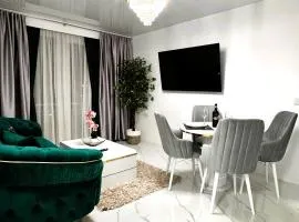 Ultracentral Piata Victoriei 50- City Center View