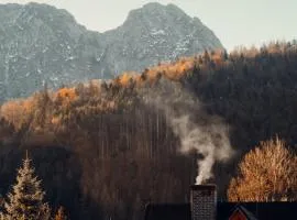 Giewont Mountain View Apartment