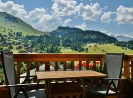 Chalet Anou - proche pistes de ski