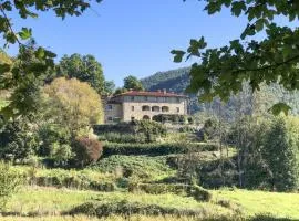 Pet Friendly Apartment In Bibbiena With Wifi