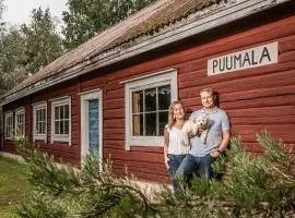 Villa Saimaan Sydän