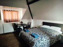 Room near the center with bathroom and kitchen, hotel in Brussel