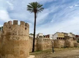 Exclusivo Apartamento ALZIRA