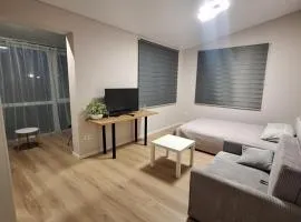 Kambarių nuoma prie Kauno oro uosto