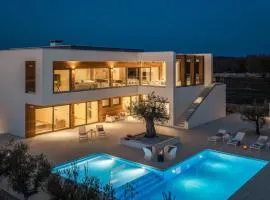 Villa Old Olive VIII by Vivi Rent