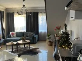 DiDi Apartament Centrum