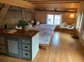 Fischerhäuser Romanshorn, hotel em Romanshorn