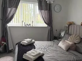 Gorgeous Sandpiper Mews