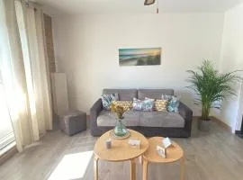 Expérience unique Explorer 3 pays depuis le même logement