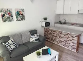 Dunas Playa del Ingles