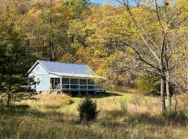 Cabin on 17 acres by National Forest