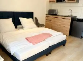 Loft am Kurpark, nähe Kurpark, GOP, Balitherme, mit Waschmaschine u Küche