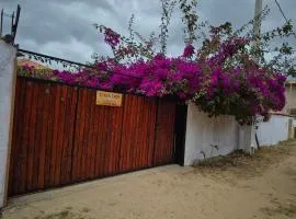 Casa dos sonhos 3 casais e 3 crianças