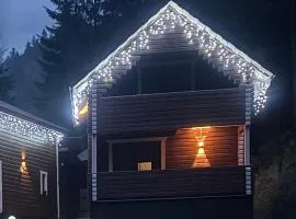 Гірська роса 2