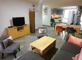 Le St Roch - appart 6-8 pers - wifi - centre ville