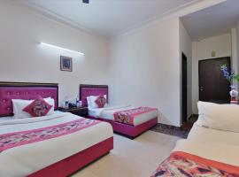 Hotel Blue Star - Paharganj Delhi，位于新德里的酒店