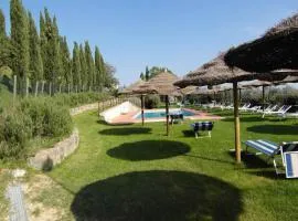 Apartments in Cerreto Guidi - Toskana 23873
