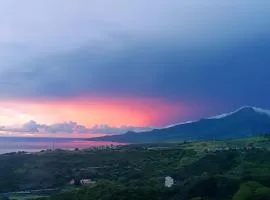 Les jardins suspendus des caraibes