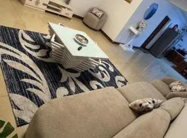 Masaki H and Apartment