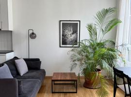 Luxury Apartment in Central Geneva