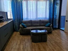 Premium apartment in Batumi 1718