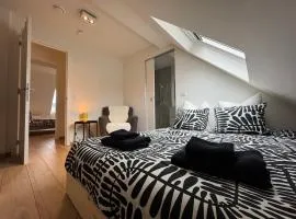 Downtown Spacious Design Duplex 3bedR