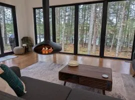 Contemporary Lakehouse in Lakeville