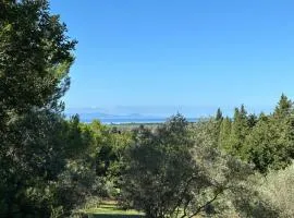 A CASA DI LEO B&B Country House