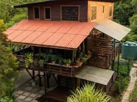 Utopia Bluff Beach Off Grid Jungle Retreat By The Sea