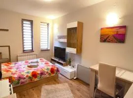 Tulip Studio Deluxe, Grand Resort Pamporovo