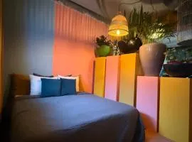 Plantkot, a cozy apartment full of plants of tinykot