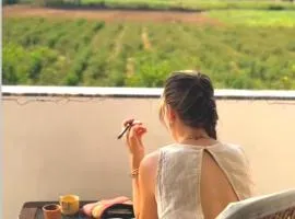 Hotel Divine Palace Pushkar