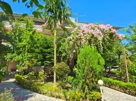 Hotel Tree Tops- A Serene Friendly Hotel in Sauraha