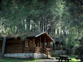 Cabañas Llano de los Conejos