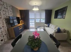 Apartament Ami