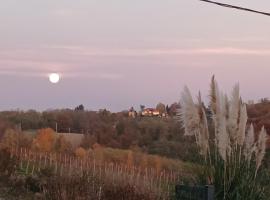 Tweet Apartments with Sauna and optional Breakfast Close To Terme Sveti Martin, hotel in Štrigova