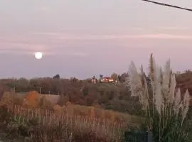 Tweet Apartments with Sauna and optional Breakfast Close To Terme Sveti Martin