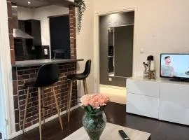 Persoonallinen kaksio keskustan vierestä