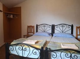 Mitja Pensió Hostal Pastuira Vallter 10, hotel in Setcases