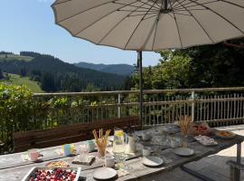 Alpe Sonnenruh, Hotel in Buchenberg
