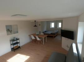 Newly built Hiloa studio apartment stylishly furnished, Hotel in Notzingen