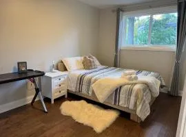 Quite room finch birchmunt