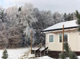 DoWielina - domki wśród natury, hotel in Wielin