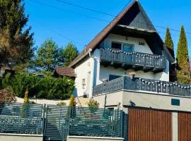 Panorámaház Bükkszék