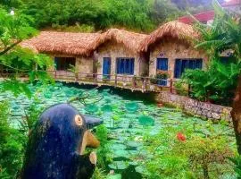 Hang Mua Cozy Homestay